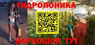 дживик Кимры
