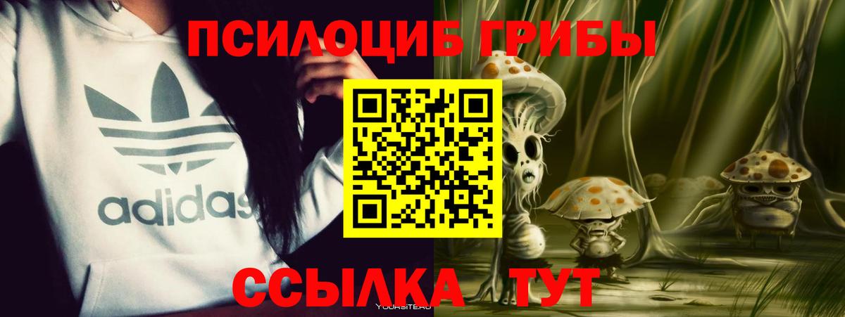 Псилоцибиновые грибы MAGIC MUSHROOMS  Галлюциногенные грибы Psilocybe  Вход с VPN  Южно-Сахалинск 